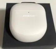 Bose QuietComfort Earbuds II Charging Case Soap Stone [Earbuds not included]