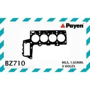 Payen Head Gasket - BZ710