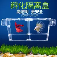 在飛比找露天拍賣優惠-台灣現貨【水族用品】孔雀魚繁殖盒魚缸魚苗孵化器隔離盒小魚孵化