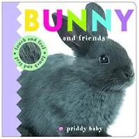 在飛比找蝦皮商城優惠-Bunny and Friends Touch and Fe