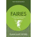 FAIRIES: DISCOVER THE MAGICAL WORLD OF THE NATURE SPIRITS