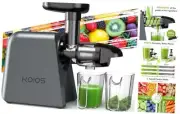 Cold Press Juicer, Juicer Machine for Vegetable and Fruit, Masticating Grey