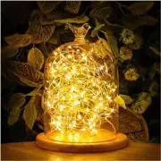 Warm White 5M Copper Wire 50 LED String Fairy Light Xmas Tree Bedroom Decor IP65
