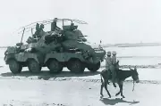WW II German Photo ---- Panzerspähwagen Sd. Kfz. 234 North Africa