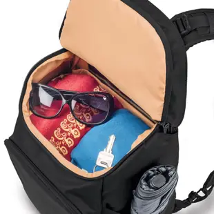 全新轉賣·旅遊必備·澳洲 Pacsafe·Citysafe CS350 休閒後背包防盜包·藍綠