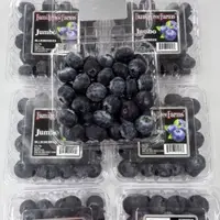 在飛比找蝦皮購物優惠-Jumbo特大果祕魯藍莓 16-18mm【真食材本舖・Rea