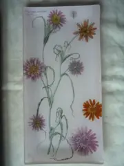 Fringe Studio Glass tray Tragopogon undulatus Plant flower