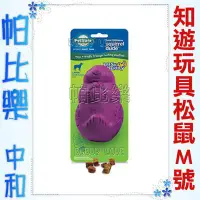 在飛比找蝦皮購物優惠-帕比樂-PREMIER-知遊玩具系列【松鼠M號-紫色】kon