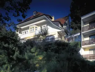Hotel Villa Elben Lorrach bei Basel
