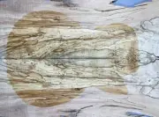 Electric Guitar Top Spalted Maple Bookmatched Wood Stabilised Resin filling