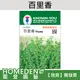 【台灣現貨】百里香 H-055 香草種子 農友牌 小包裝種子 約300粒/包【HOMEDEN霍登園藝】