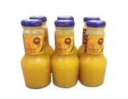 Best Mango Juice Drink, 8.3 Fl. Oz. 6 Pack