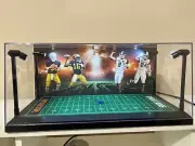 Michigan & Michigan State Custom 2 Mini Helmet display case w/ LED lights