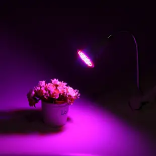 LED植物生長燈 E27 20W 10W 6W 全光譜LED植物燈 20W補光燈 E27夾燈 多肉花卉育苗生長燈