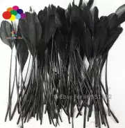 Dyed Black good natural goose rooster feather for DIY clothing mask hat decor