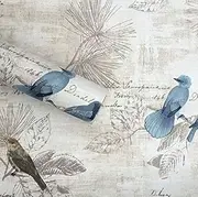 Vintage Birds Adhesive Paper Peel Stick Wallpaper Countertop Cover Paper Drawer Dresser Shelf Liner Decorative Sticker 45cm by 300cm