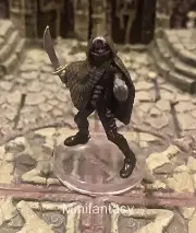 Darkling Elder D&D Miniature Dungeons Dragons Witchlight Assassin Boss Rogue 25