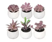 White Ceramic Basin, Artificial Succulent Houseplant, For Office Decoration, Home Decoration, Bedroom, Desk