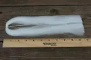 Hank WHITE BIG GAME GLOW HAIR Sea Fibers Blend Fly Tying & Saltwater