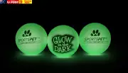 High Bounce Natural Rubber Dog Balls (60Mm) (3 Pack Glow in the Dark Edition)