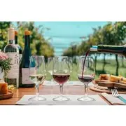Save 7.00%! Buenos Aires: Wine tasting and lunch at Bodega Gamboa
