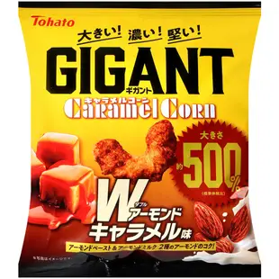 日本 Tohato東鳩 GIGANT 杏仁焦糖/酸奶油洋蔥 風味 現貨 蝦皮直送