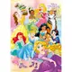 百耘圖 Disney Princess公主(8)拼圖108片 HPD0108-194 【久大文具】