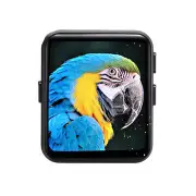 16GB bluetooth 5.0 MP3 2.5D IPS HD Full Srceen Lossless Music Player Audio Video Player FM Radio Ebook Voice Recorder