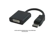 Leadtek DisplayPort to DVI 15CM Adaptor (OEM Pack) [LEADTEKDPDVI15CM]