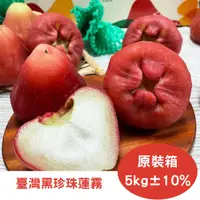 在飛比找PChome24h購物優惠-【真食材本舖 RealShop】臺灣黑珍珠蓮霧 約5kg 單