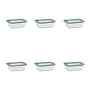 6PK Ecology Store Rectangle Clear Glass Food Storage Container 370ml Eucalyptus