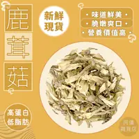 在飛比找iOPEN Mall優惠-阿儀雜貨店買五包送一包❤️鹿茸菇❤️新鮮現貨