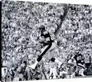 Lynn Swann Acrylic Wall Art - Leaping Catch