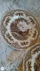 Victorian English Pottery CHALLINOR PHEASANT set 3 SALAD DESSERT PLATES STAFFORD