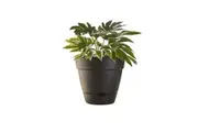 Northcote Pottery Leonard 38x34cm Self Watering Plant Pot Garden Decor Black