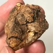 Natural Sericho Pallasite Meteorite 45.8 grame Original Stone Sample Display Box