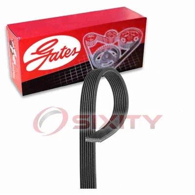 Gates Micro-V Supercharger Serpentine Belt for 2015-2017 Jaguar F-Type 3.0L kv (for: Jaguar)