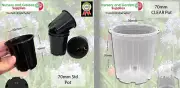 70mm Standard Plant Pot - Clear or Black - Phalaenopsis Orchids, seedlings, etc