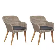 Outdoor Chairs with Cushions 2 pcs Poly Rattan Brown vidaXL