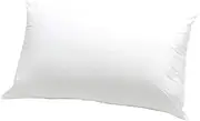 Jason Allergy Sensitive Pillow (Medium Feel)