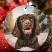 Cute Boykin Spaniel Dog Santa Hat Snow Winter Christmas Ornament Gift Tree Decor