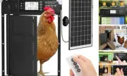 Automatic Chicken Coop Door Solar Powered, Cold Weather Electric Chicken Black
