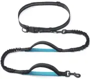Retractable Hands Free Dog Leash – Dual Handle Bungee Waist Leash for Small M...