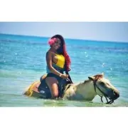 Save 10.01%! Kennedy's Horseback riding, Blue Hole and Secret Falls from Montego Bay