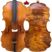 Barouqe style SONG Brand maestro 1724 Yo-Yo Ma sleeping 5strings cello 4/4#15047