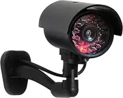 LifeBOX camera01 Dummy Camera