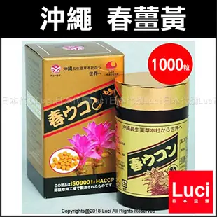 沖繩 春薑黃 1000粒 野生黃薑 日本薑黃供應量第一 日本原裝 原罐進口 LUCI日本代購