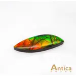 [ANTICA] 斑彩石 14.55克拉 綠色 隨形 加拿大 天然無燒 AMMOLITE （經理推薦）安帝卡珠寶