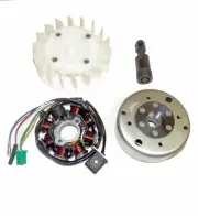 Trailmaster Taurus 200MFV, Taurus 200U, Magneto Stator & Flywheel Kit
