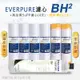 【Everpure】美國原廠平行輸入 BH2 濾心+高品質前置5uPP濾心+樹脂濾心(7支組)